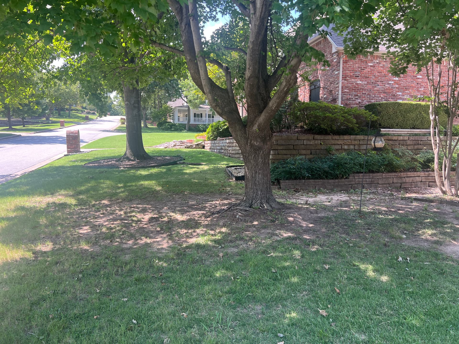 Garden Oasis with Stone Path Installation image
