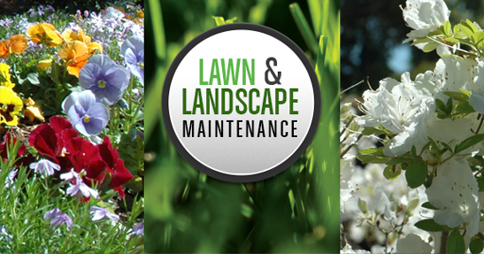 Lawn & Landscape Maintenance